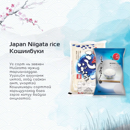 Packaging promo 1