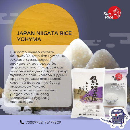 Packaging promo 2