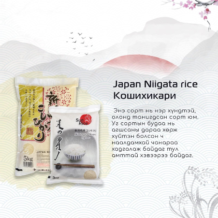 Packaging promo 4